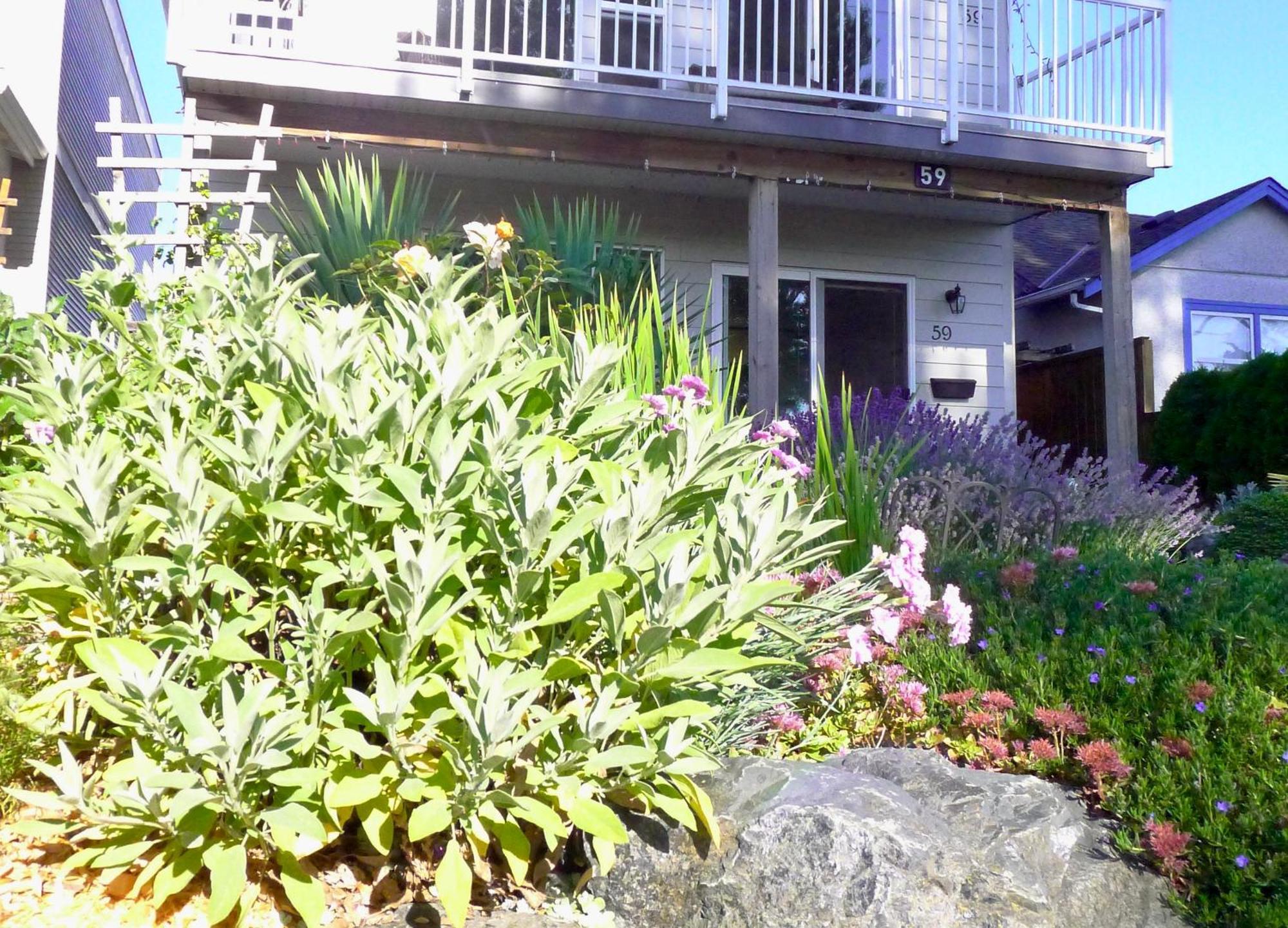 Annarthur Guest House ننيمو المظهر الخارجي الصورة