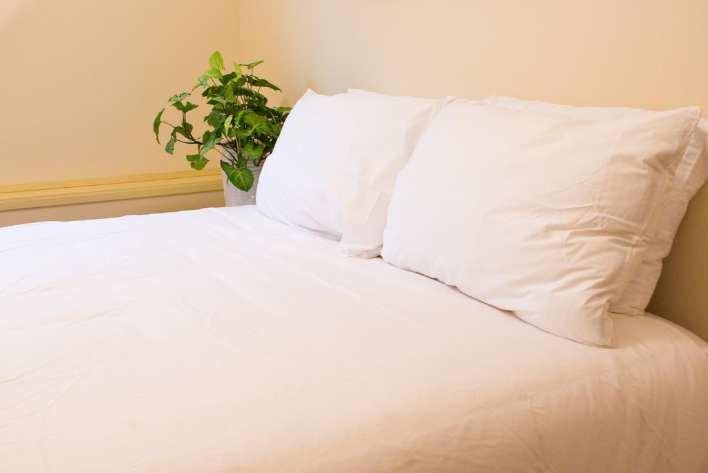 Annarthur Guest House ننيمو المظهر الخارجي الصورة